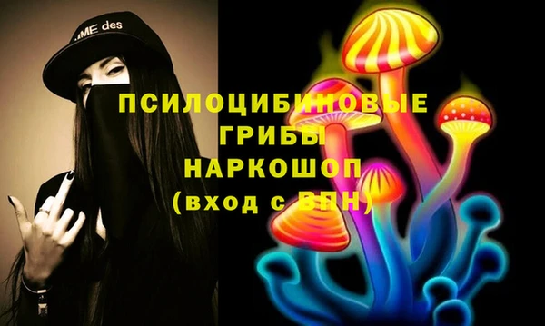 гидра Армянск