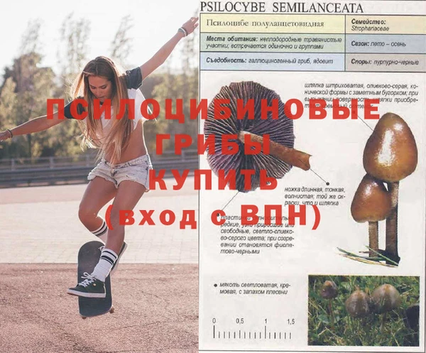 гидра Армянск