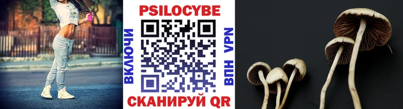 Галлюциногенные грибы мицелий Спасск-Дальний